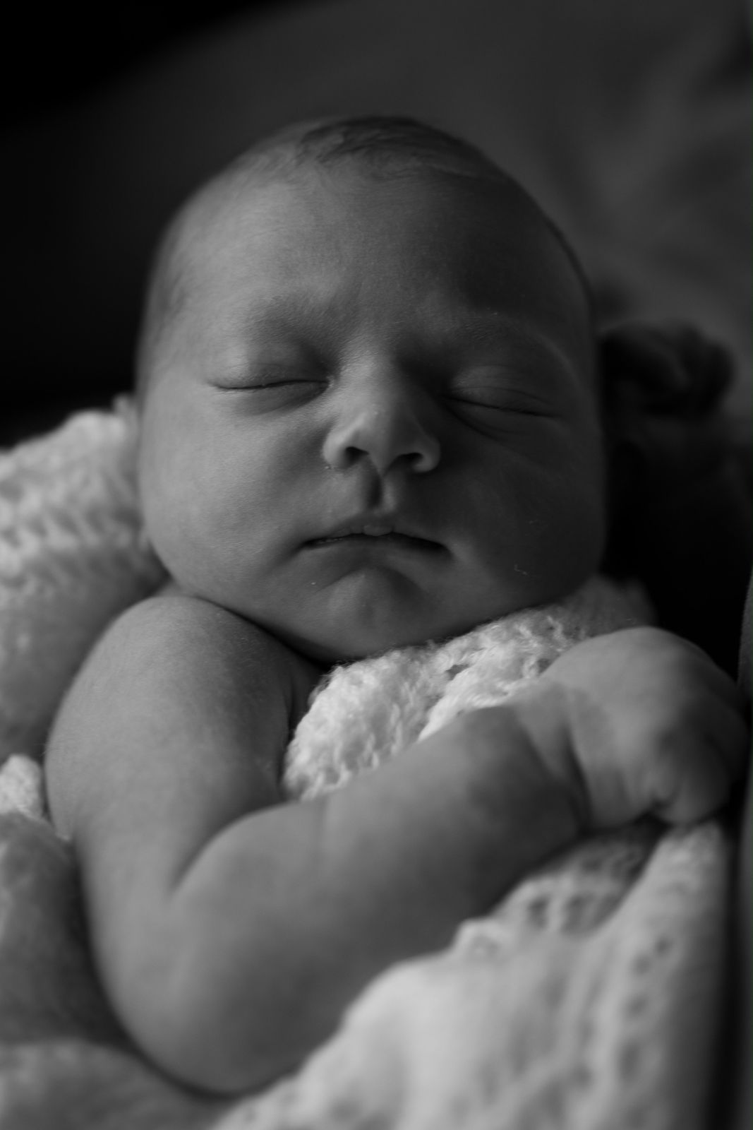 Black and white portrait of a sleeping newborn